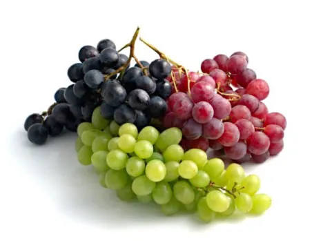 fruits exported from Egypt