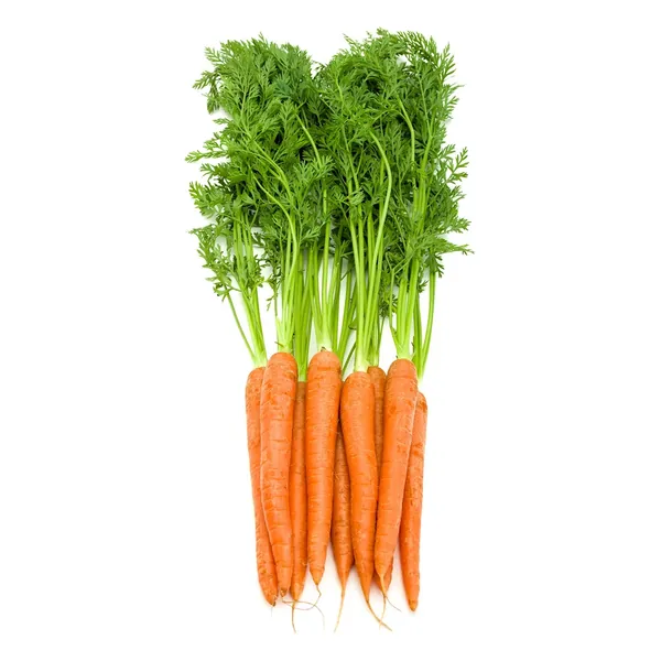Carrots exported from Egypt